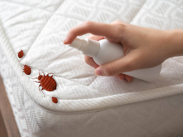 Best Bed Bug Extermination  in Bath, ME